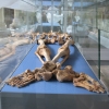 Exhibition at Barton